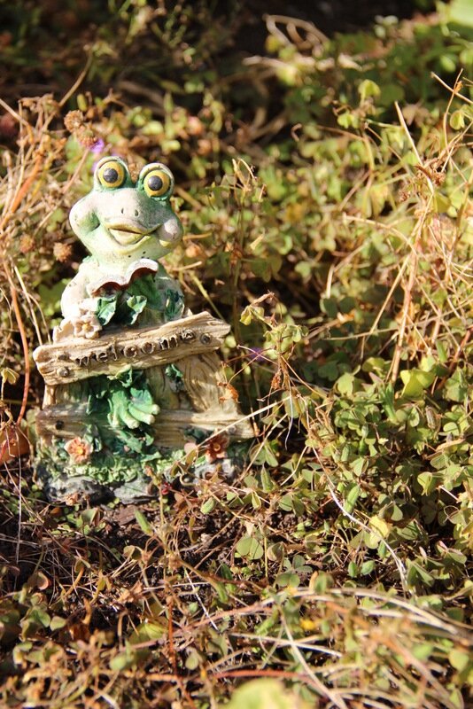 Гостиница Вилла Северин Калининград-20