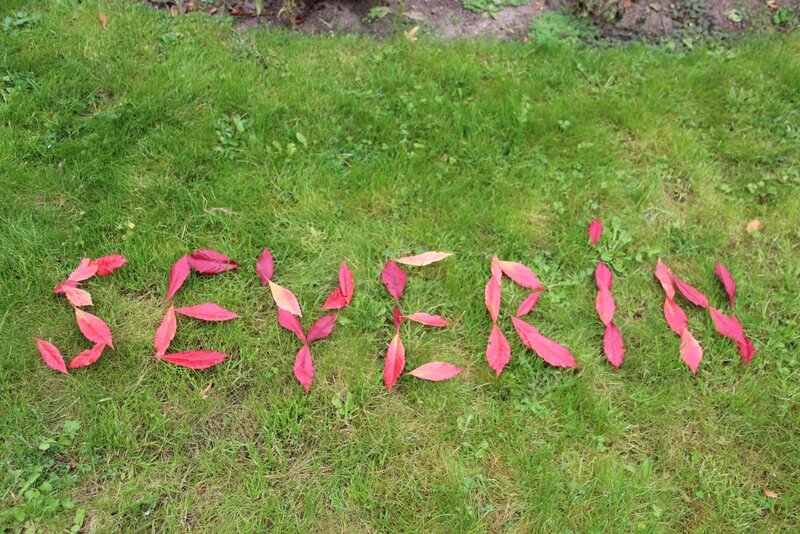 Гостиница Вилла Северин Калининград-36