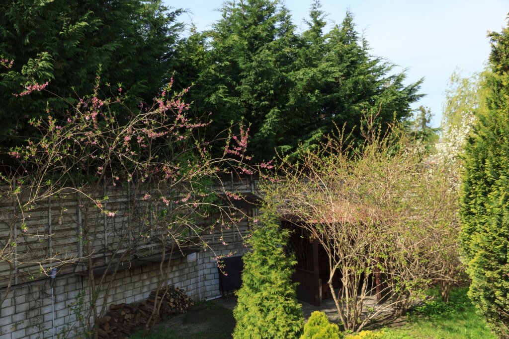 Гостиница Вилла Северин Калининград-48