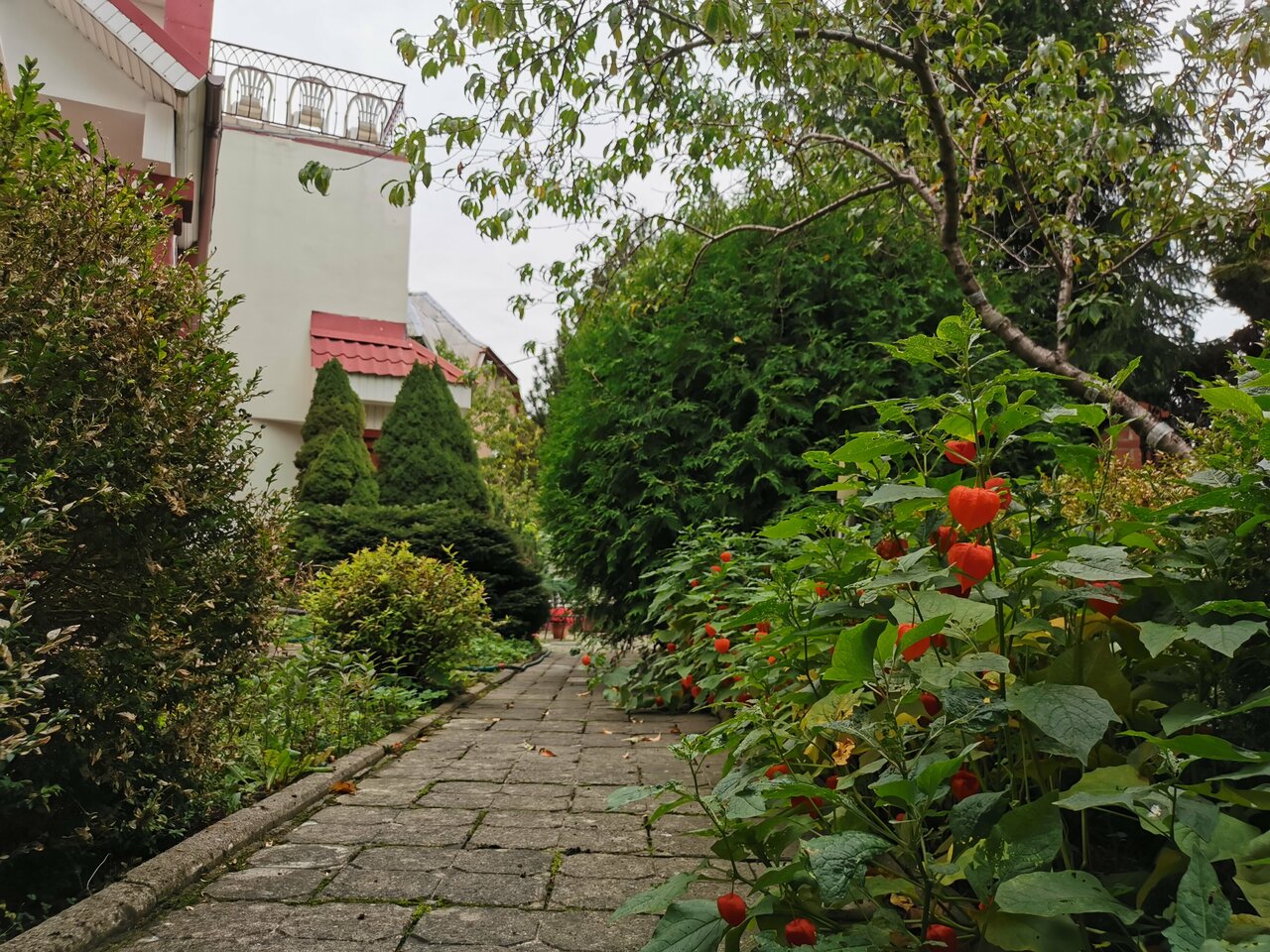 Гостиница Вилла Северин Калининград-143