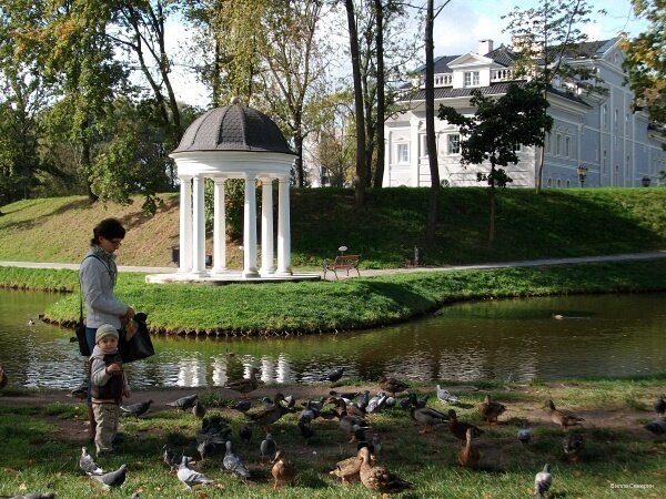 Гостиница Вилла Северин Калининград-141