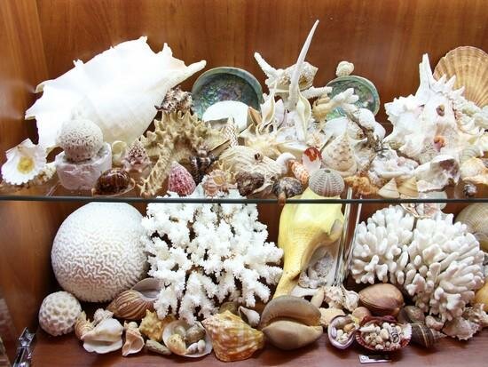 Гостиница Вилла Северин Калининград-18