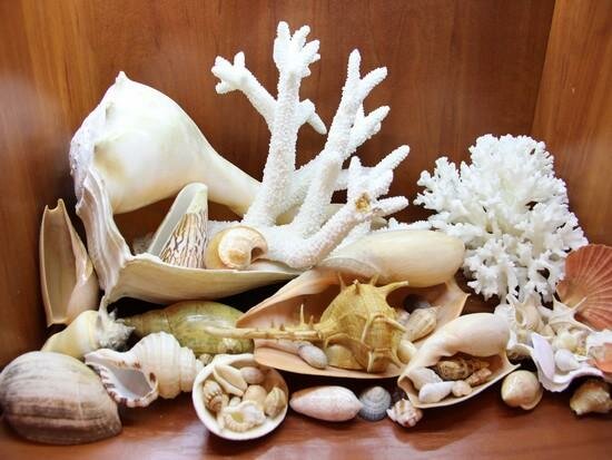 Гостиница Вилла Северин Калининград-71