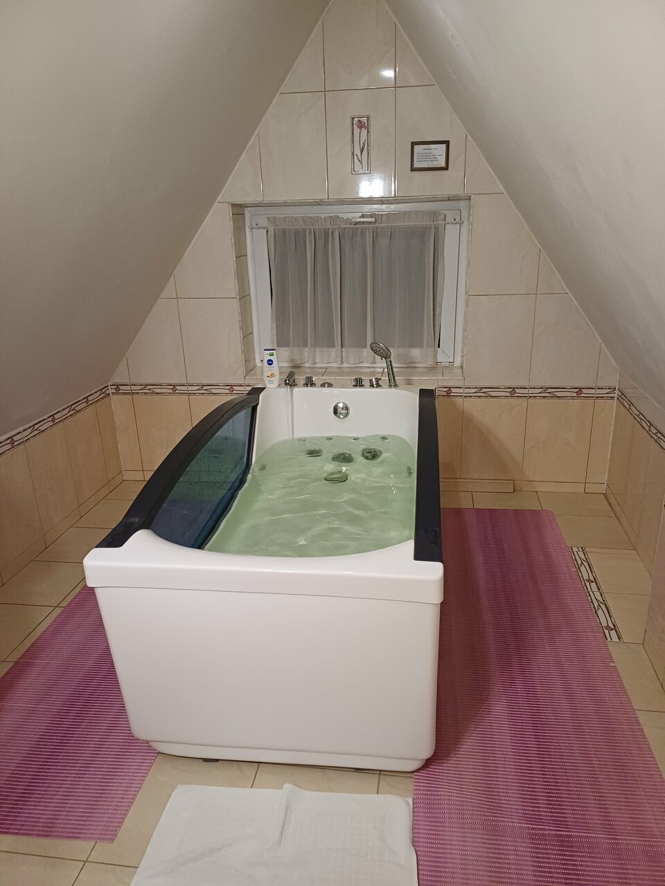 Гостиница Вилла Северин Калининград-193