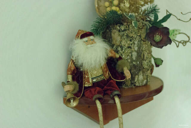 Гостиница Вилла Северин Калининград-164