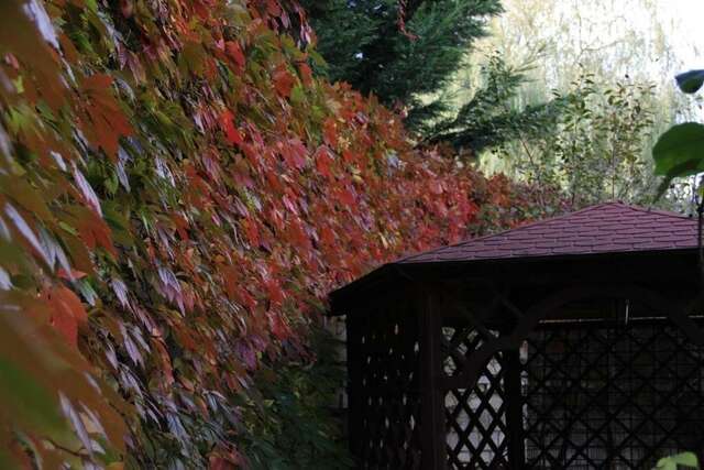 Гостиница Вилла Северин Калининград-38