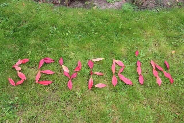 Гостиница Вилла Северин Калининград-35