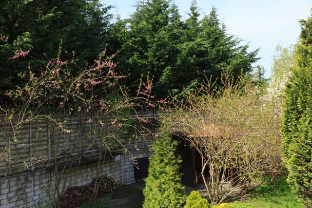 Гостиница Вилла Северин Калининград-47