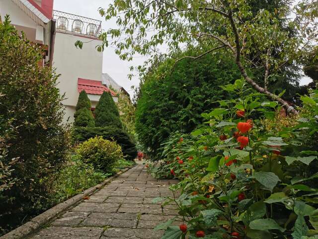 Гостиница Вилла Северин Калининград-142