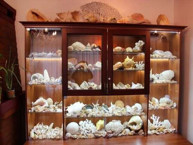 Гостиница Вилла Северин Калининград-85