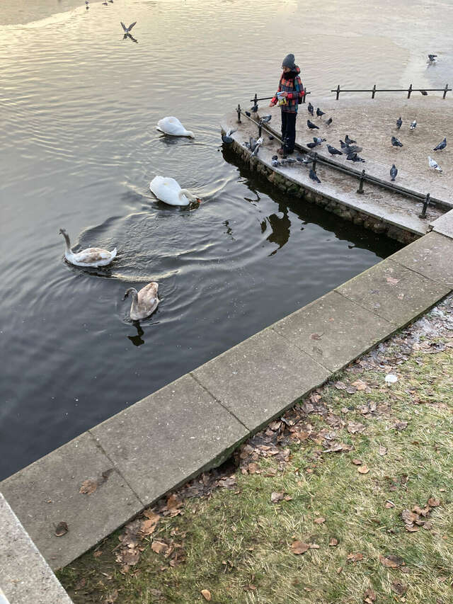 Гостиница Вилла Северин Калининград-159